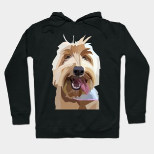 Australian Labradoodle Cute Hoodie